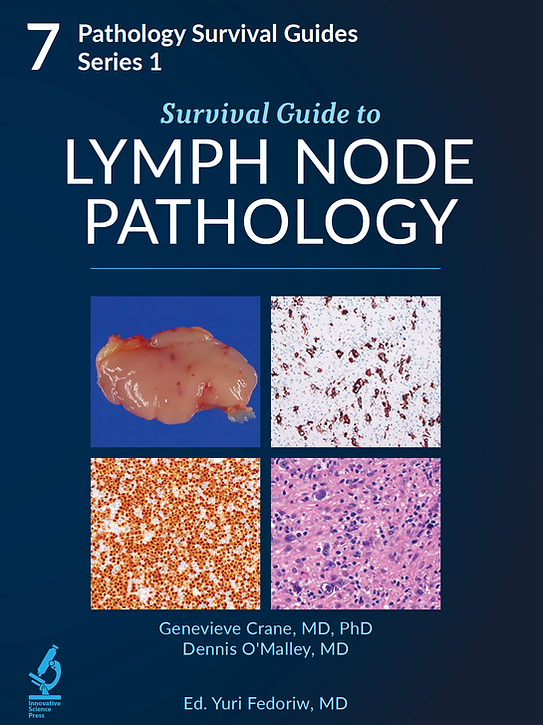 Survival-7-Lymphnode